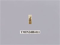 藏品(暗良苔蛾)的圖片